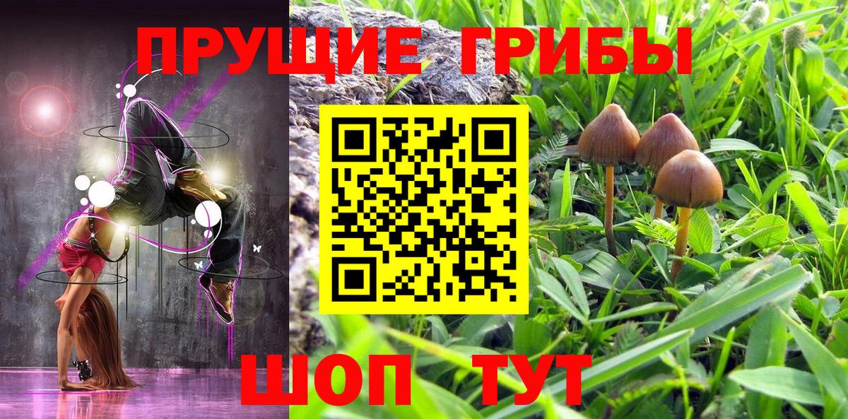 Галлюциногенные грибы мицелий  Вход с VPN  Псилоцибиновые грибы Cubensis  Шатура 